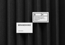 Branding studio. Idea. Logo. Identity.