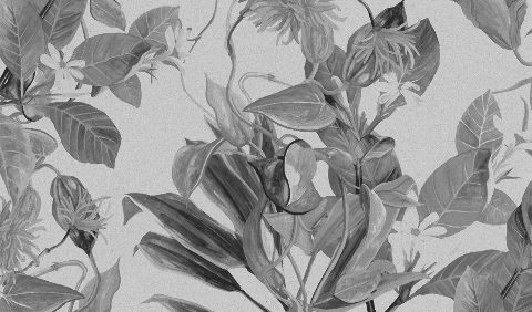 Studio brandingowe. Idea. Logo. Identyfikacja. Branding.