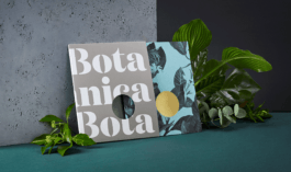 Studio brandingowe. Idea. Logo. Identyfikacja. Branding.