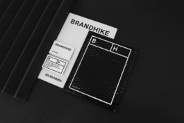 Branding studio. Idea. Logo. Identity.