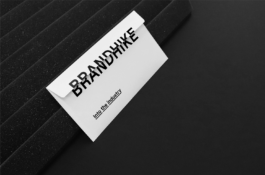 Branding studio. Idea. Logo. Identity.