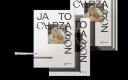 Branding studio. Idea. Logo. Identity.