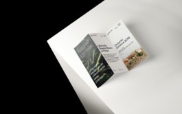 Branding studio. Idea. Logo. Identity.