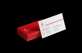 Branding studio. Idea. Logo. Identity.