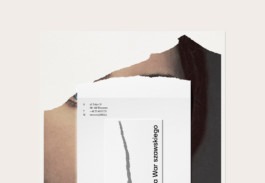 Studio brandingowe. Idea. Logo. Identyfikacja. Branding.