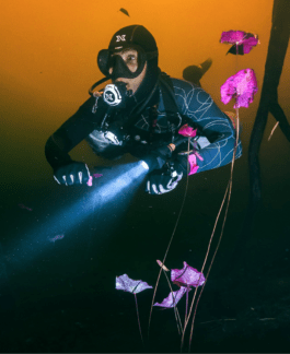 Branding studio. Idea. Logo. Identity.