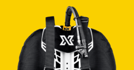 Branding studio. Idea. Logo. Identity.