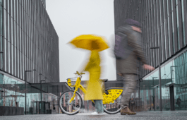 Studio brandingowe. Idea. Logo. Identyfikacja. Branding.