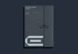 Branding studio. Idea. Logo. Identity. Motion design.
