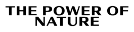 Branding studio. Idea. Logo. Identity. Motion design.